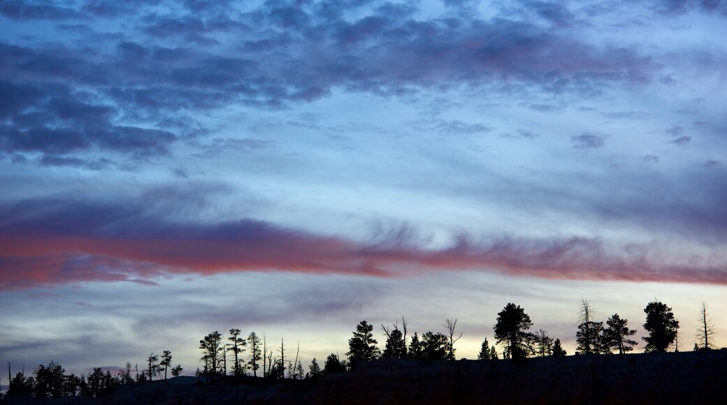 Tropic showing tranquil scenes and a sunset