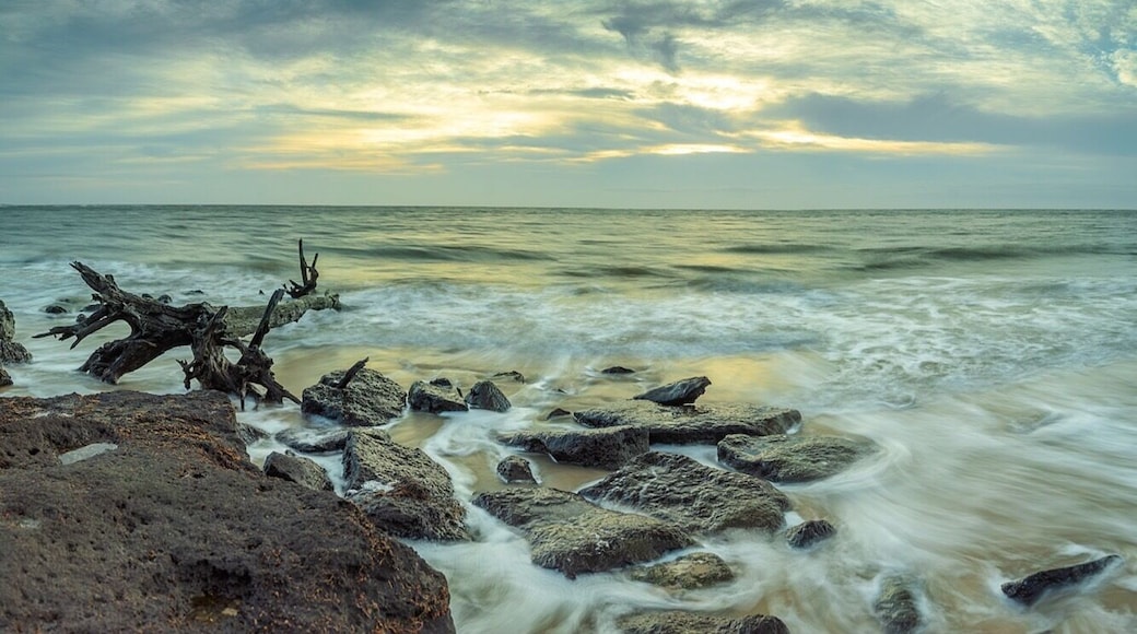 Visit the Driftwood Beach early in the morning for beautiful sunrises. Allow yourself time to hike a half mile trail in through the coastal forest. Even on busy holiday weekend the early morning beach is fairly isolated. One or two other photographers will join you. With many large driftwoods lining the beach there are endless compositions. The gnats can be pestering. So, wear comfortable long sleeves.