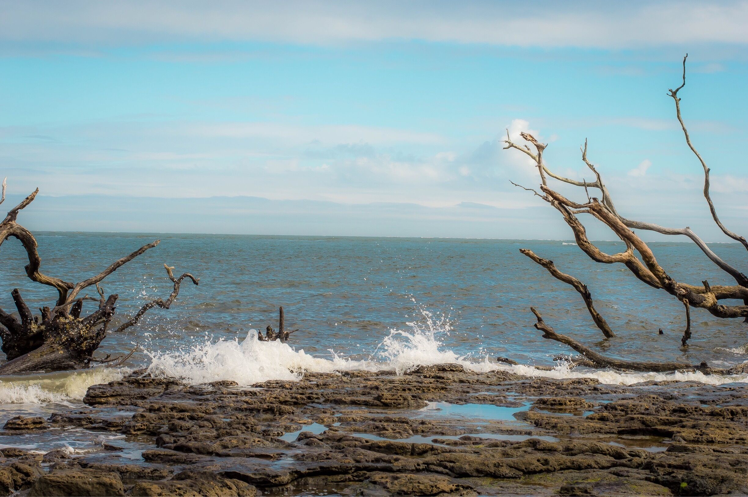 The beaches of Talbot Island State Park.