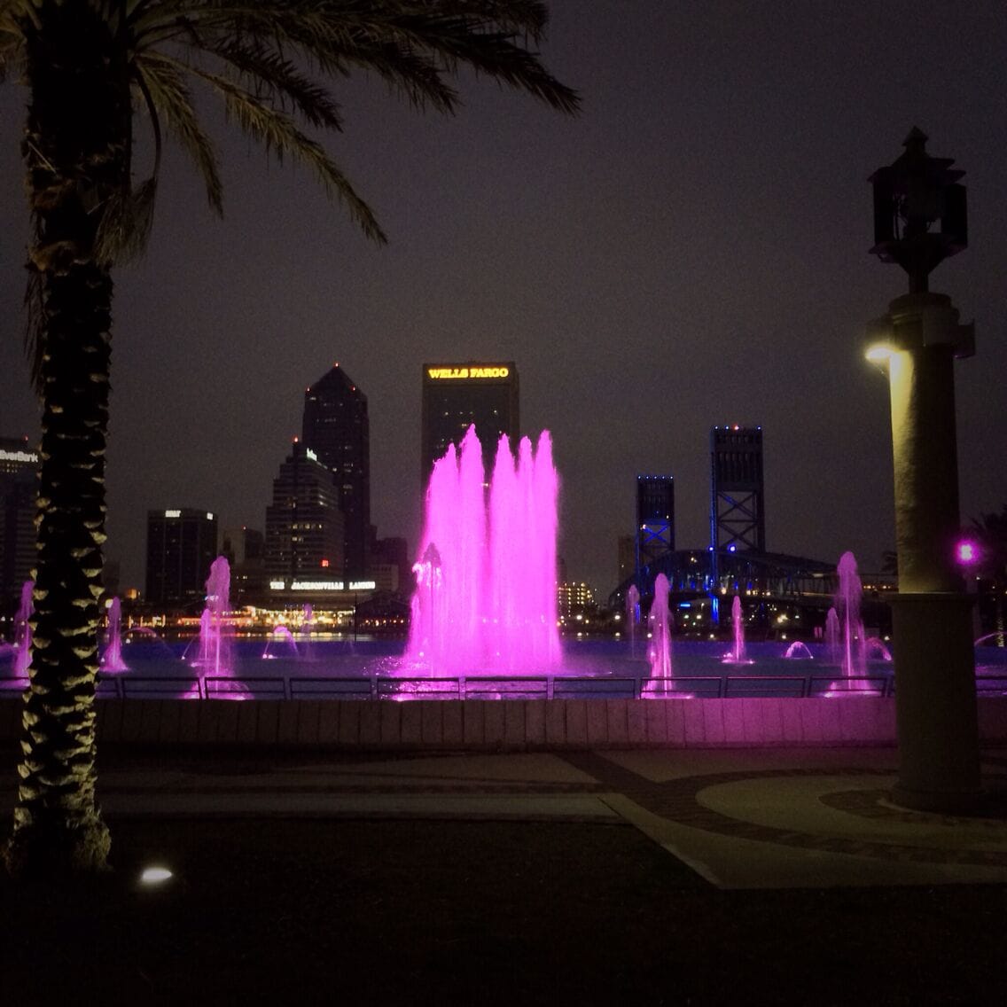Friendship Fountain is a large fountain located in St. Johns River Park (also known as Friendship Fountain Park) at the west end of Downtown Jacksonville's Southbank Riverwalk attraction. The world's largest and tallest fountain when it opened, it has been one of Jacksonville's most recognizable and popular attractions.

The fountain and park were designed by Jacksonville architect Taylor Hardwick in 1963 and opened in 1965. The fountain's three pumps could push 17,000 US gallons (64,000 L) of water per minute up to ten stories in height. Friendship Fountain remained one of Jacksonville's signature attractions through the 20th century, but severe corrosion and deterioration to the equipment resulted in periodic closures in the 2000s. In 2011 the city completed a $3.2 million renovation to the fountain and the surrounding park.
