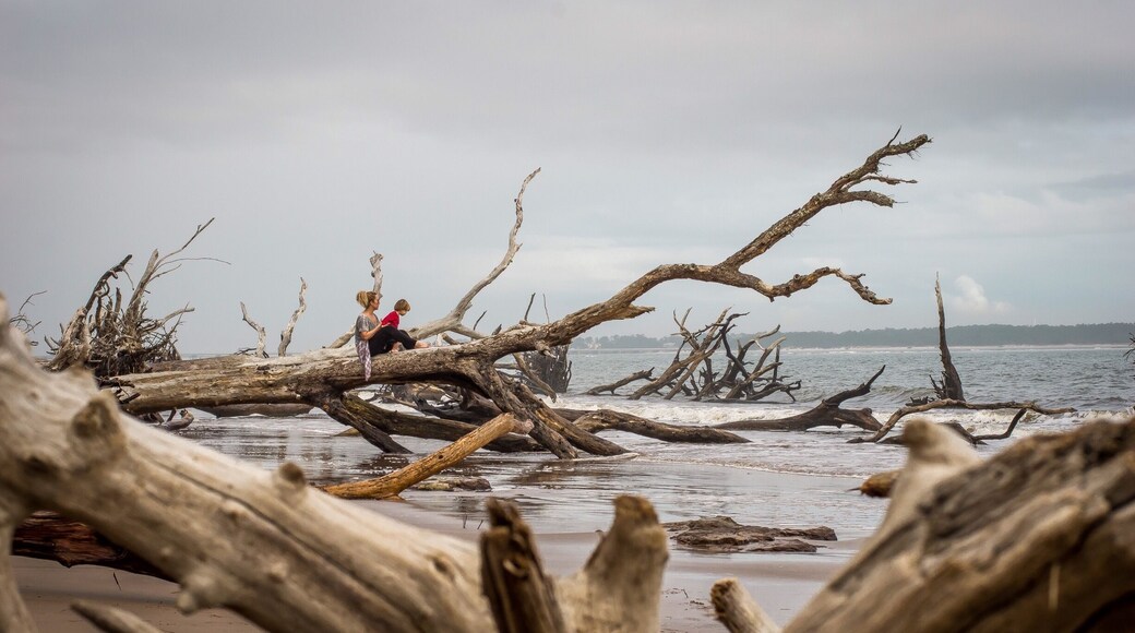 This is such a hidden gem near Jacksonville, FL! With a short 10 minute trail from a parking lot near Little Talbot this beach greets you with fallen trees and peaceful seclusion. My son loved exploring the beach!