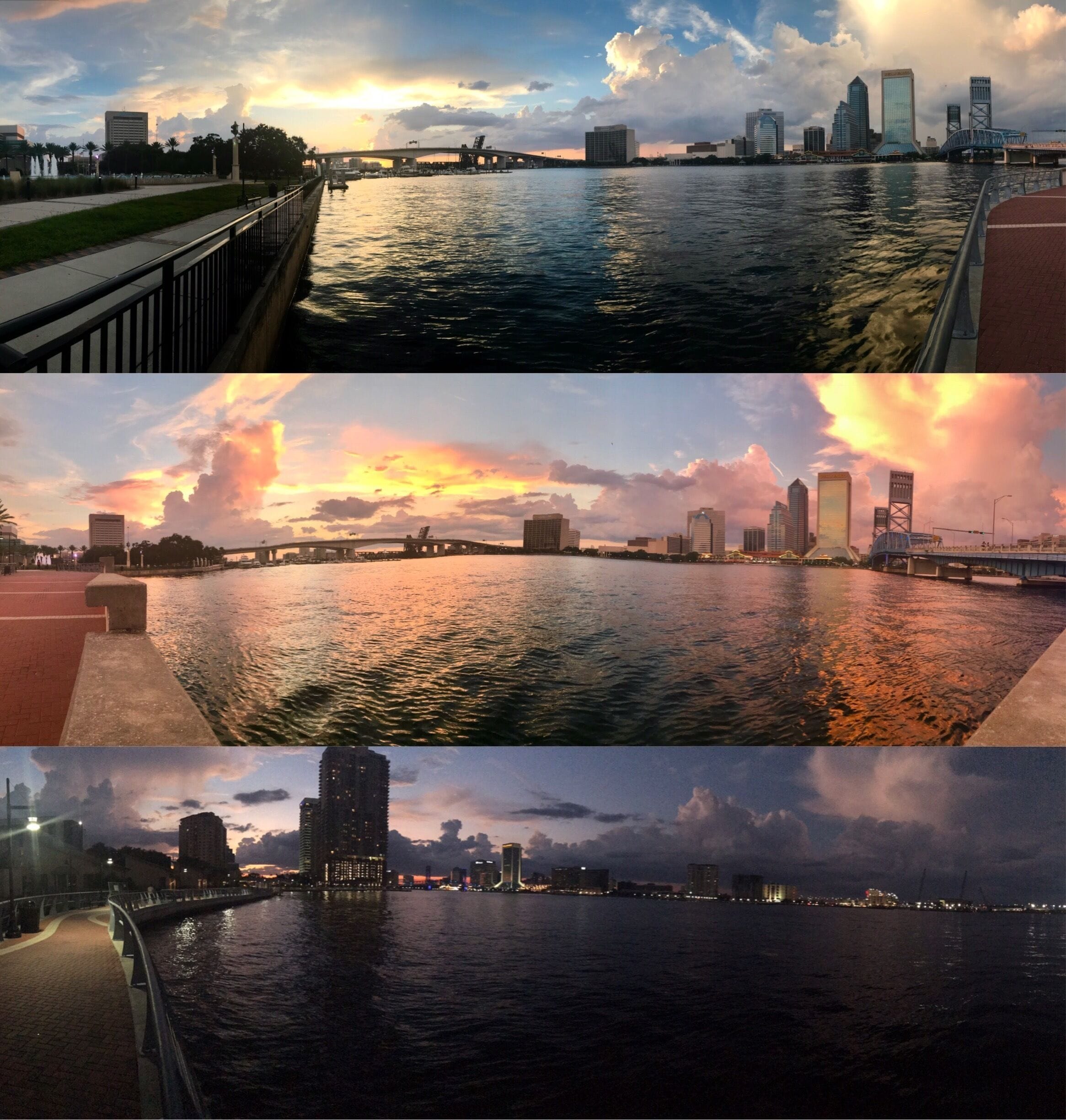 Got to see some dolphins, just a few feet from the edge! What a pretty city:) 