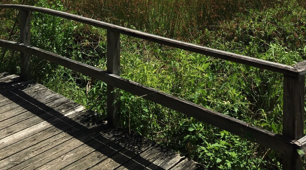They should definitely charge admissions to see views like this. The park has some really good hiking trails in addition to the amazing views. 🌳☀️