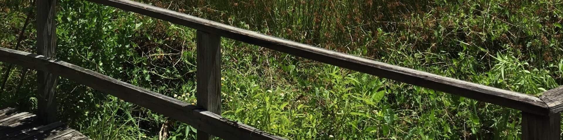 They should definitely charge admissions to see views like this. The park has some really good hiking trails in addition to the amazing views. 🌳☀️