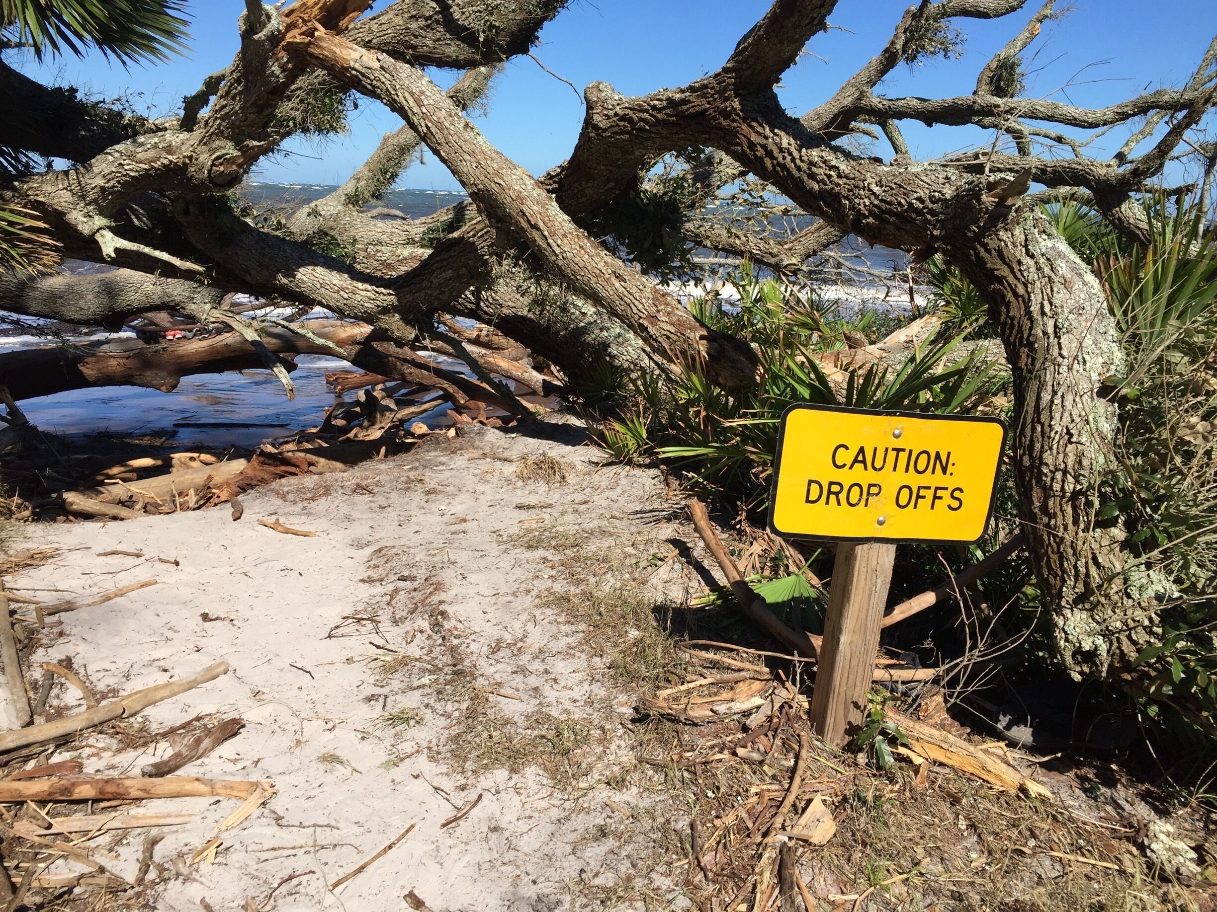 I've watched Black Rock Trail slowly get more and more eroded. It's so beautiful and now has even more character after #hurricanematthew
