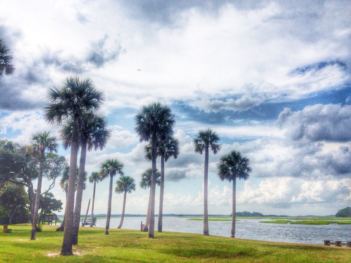 Taken at the Kinglsey plantation near Amelia Island; you can take a kayaking trip up the Fort George River to get here, and it's a lot of fun!!