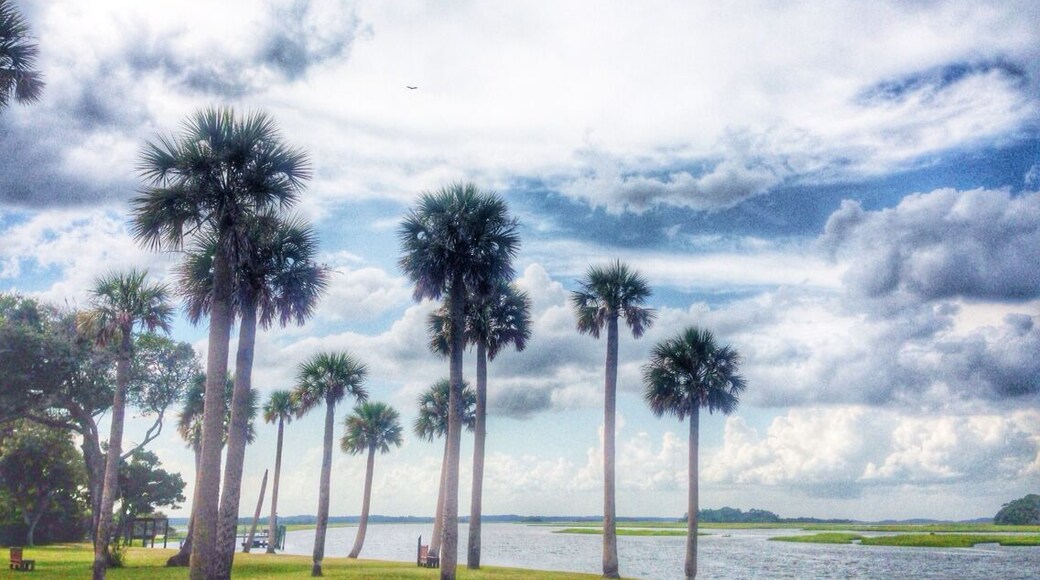 Taken at the Kinglsey plantation near Amelia Island; you can take a kayaking trip up the Fort George River to get here, and it's a lot of fun!!