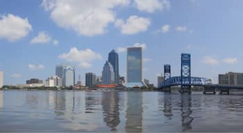 View of the Jacksonville skyline from across the St. John's River.