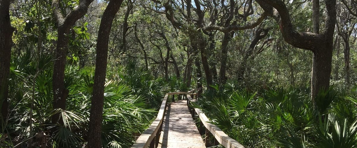 Boardwalk to beach
#camp