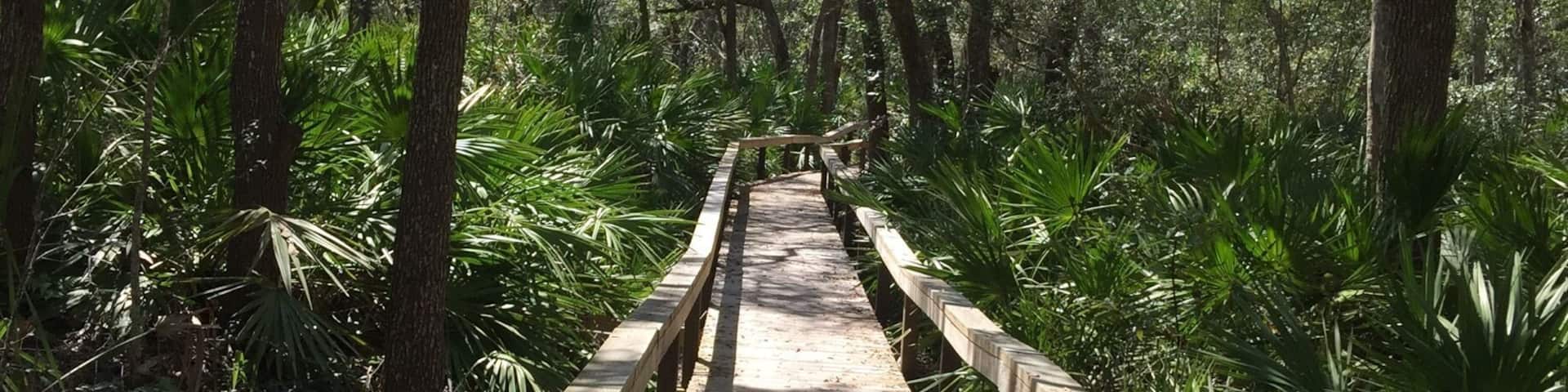 Boardwalk to beach
#camp