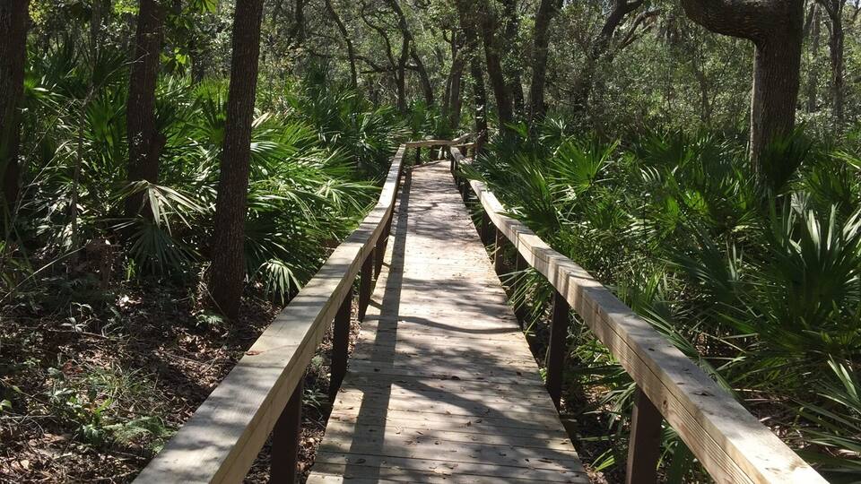 Boardwalk to beach
#camp