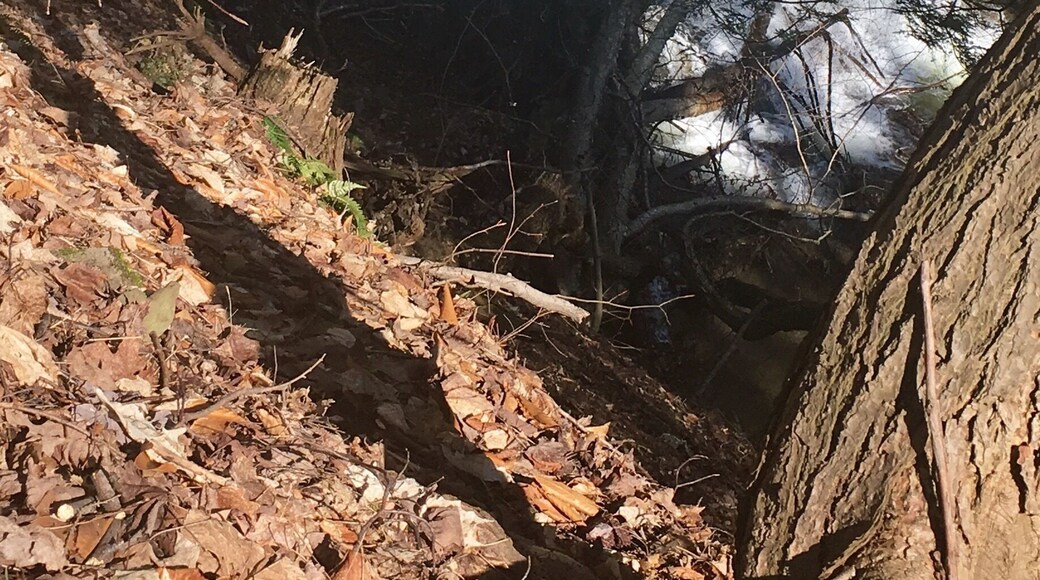 Secret hidden falls in tully, ny