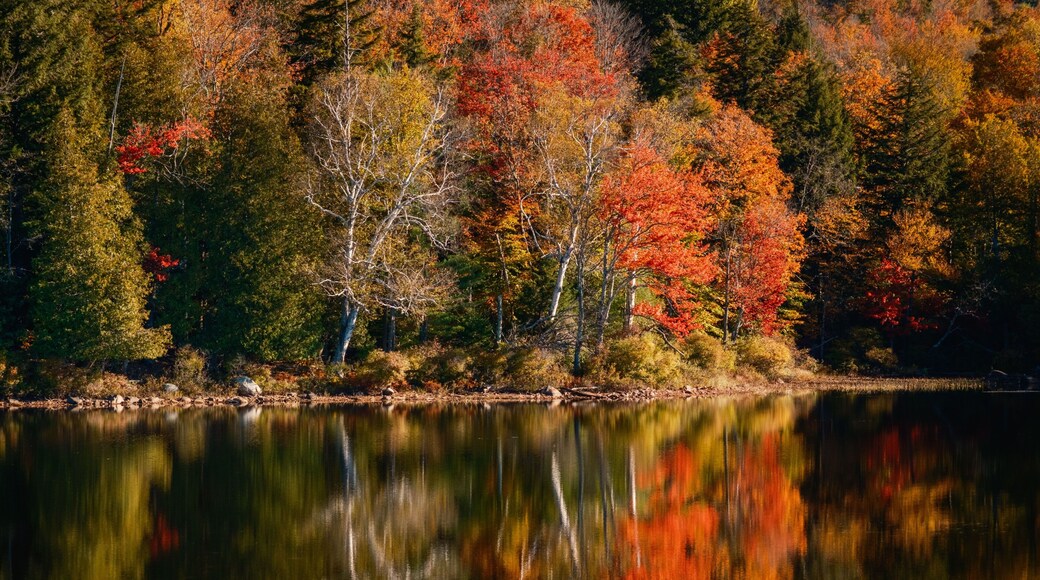 Autumn colors reflecting in Tupper Lake, in the Adirondack Mountains, New York