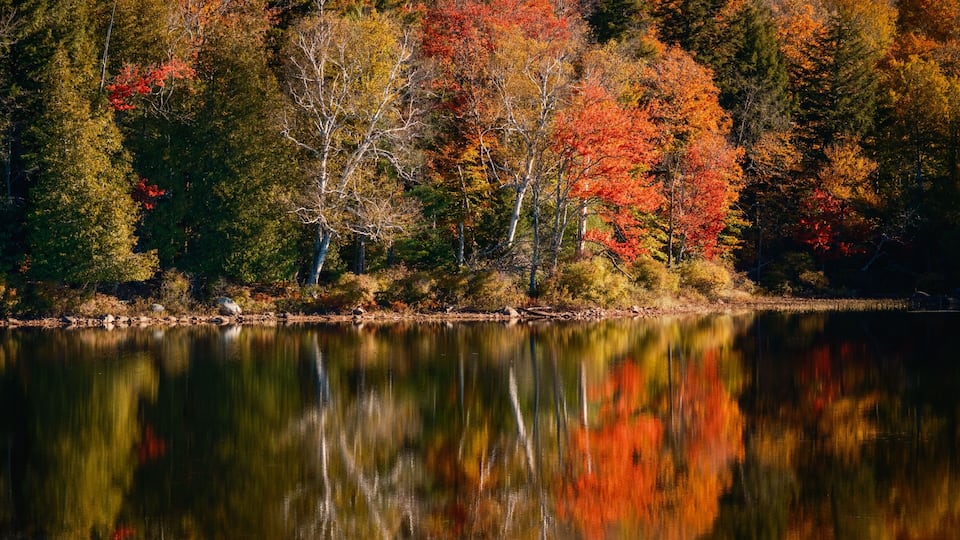 A calm lake surrounded by autumn-colored trees.