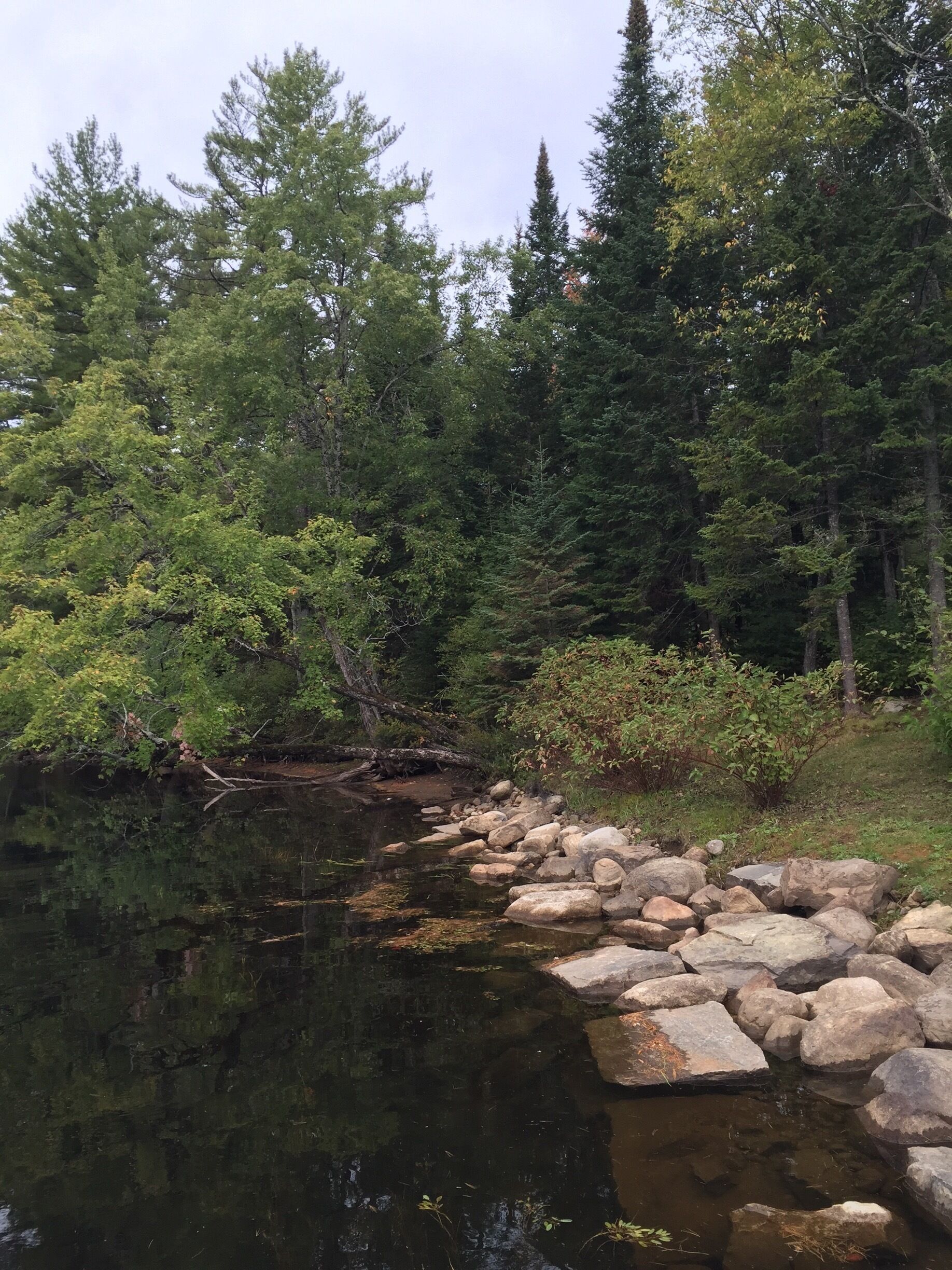 Catching yellow perch right off the dock on the Raquette river.. way up in the north woods. Adirondack mountains