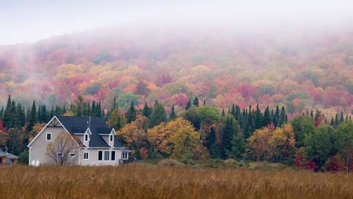 A view of the brilliant and eclectic colors that take over the entire Adirondacks region in New York state of USA during the peak fall season