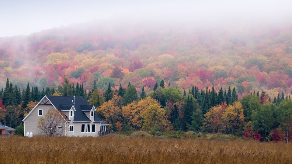 A house surrounded by autumn-colored trees and a foggy hill in the background.