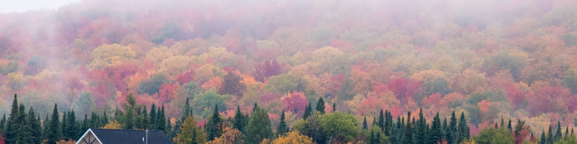 A view of the brilliant and eclectic colors that take over the entire Adirondacks region in New York state of USA during the peak fall season