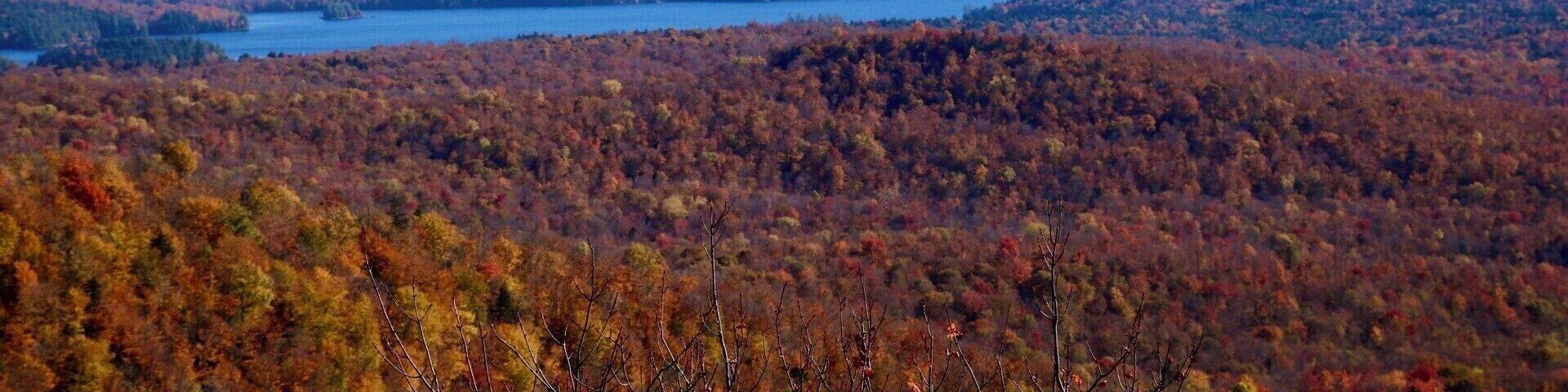 Arab Mountain, Adirondacks, NY