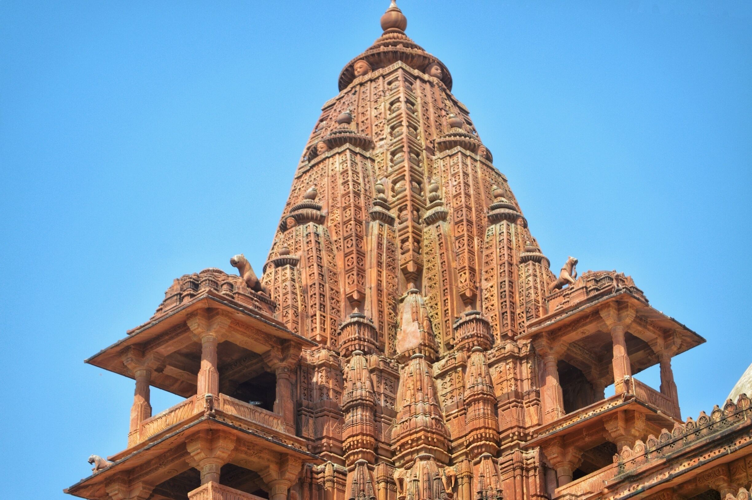 A cool place to hangout.