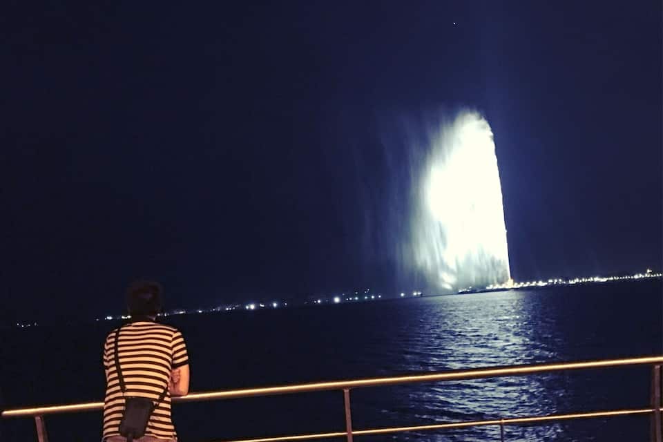 Uma pessoa parada perto de um corrimão, com vista para um corpo de água e um espetáculo de luzes ao longe.