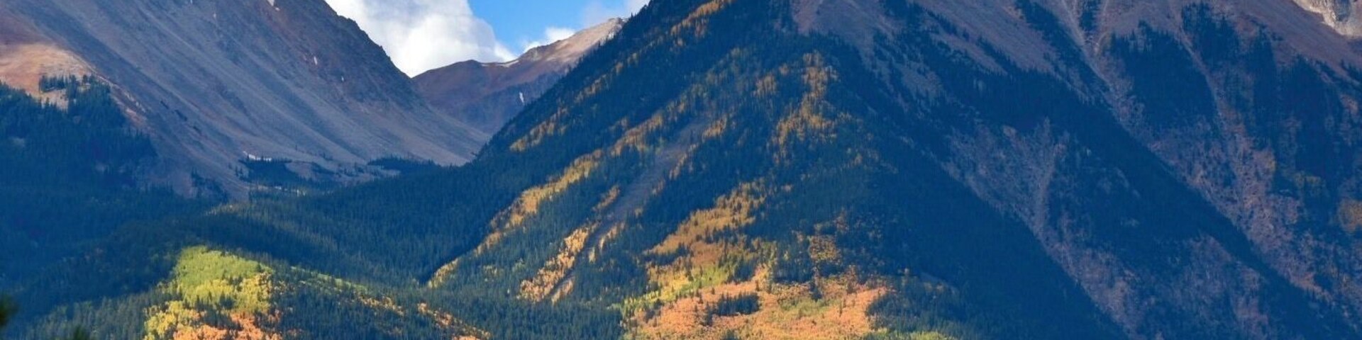 Twin Lakes this past fall, such a peaceful area to visit.
#exploretwinlakesco