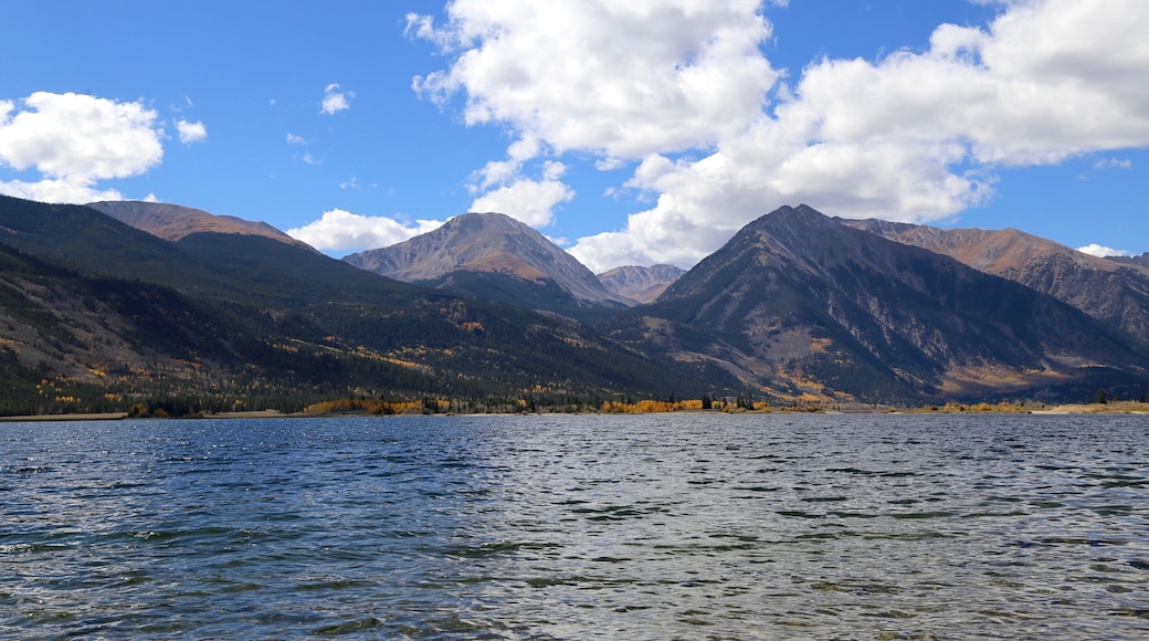 ํธ์ ๋ ์ดํฌ