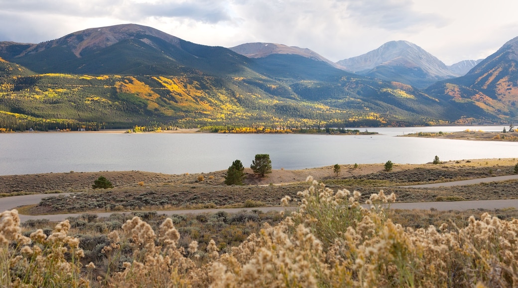 ํธ์ ๋ ์ดํฌ