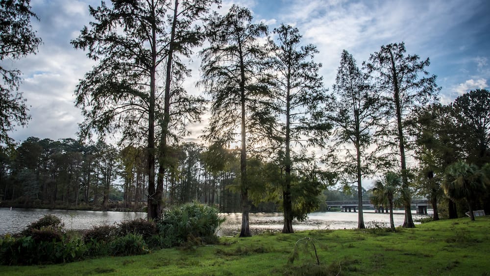 Sunrise after Hurricane Michael