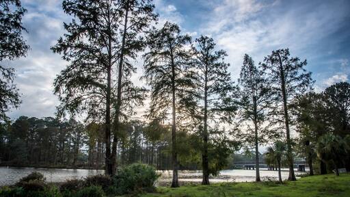 Sunrise after Hurricane Michael