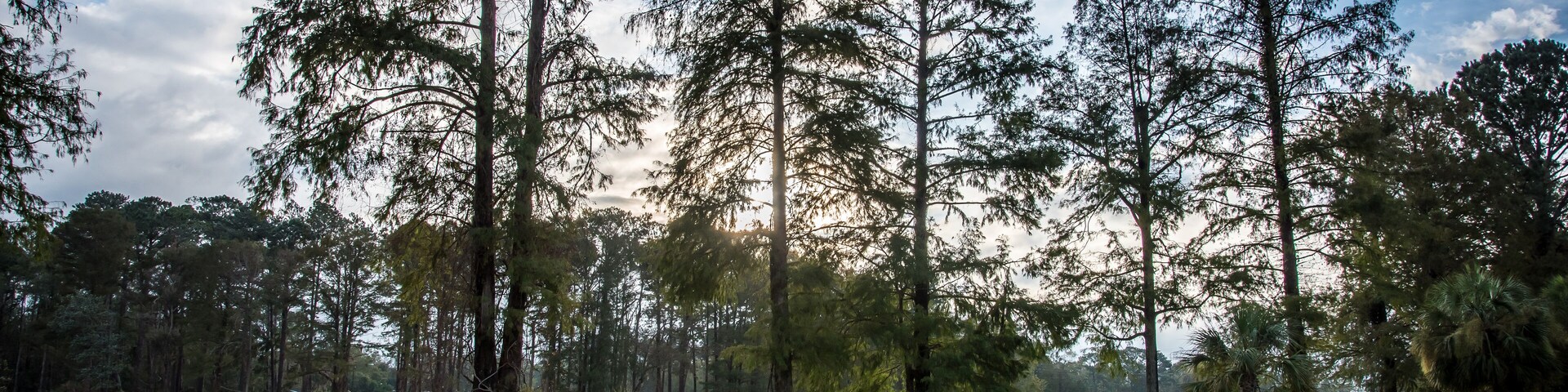 Sunrise after Hurricane Michael