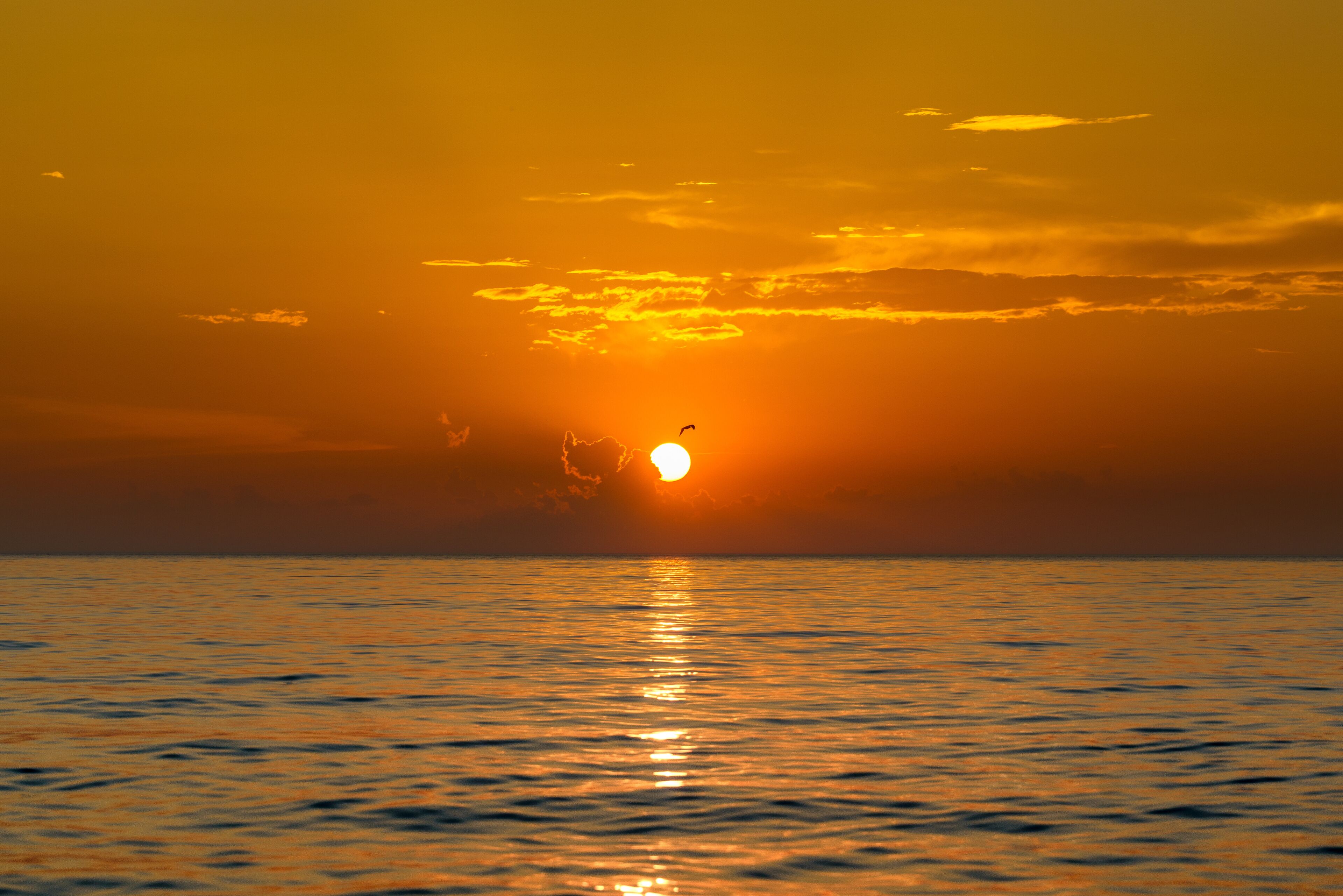 Lake Michigan Union Pier Orange Sunset