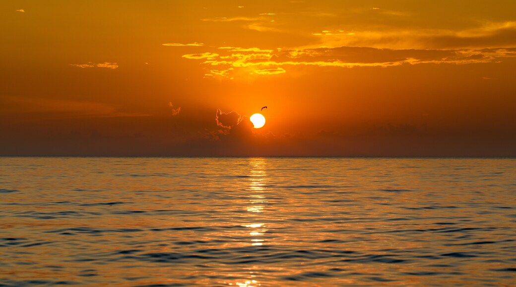 Lake Michigan Union Pier Orange Sunset