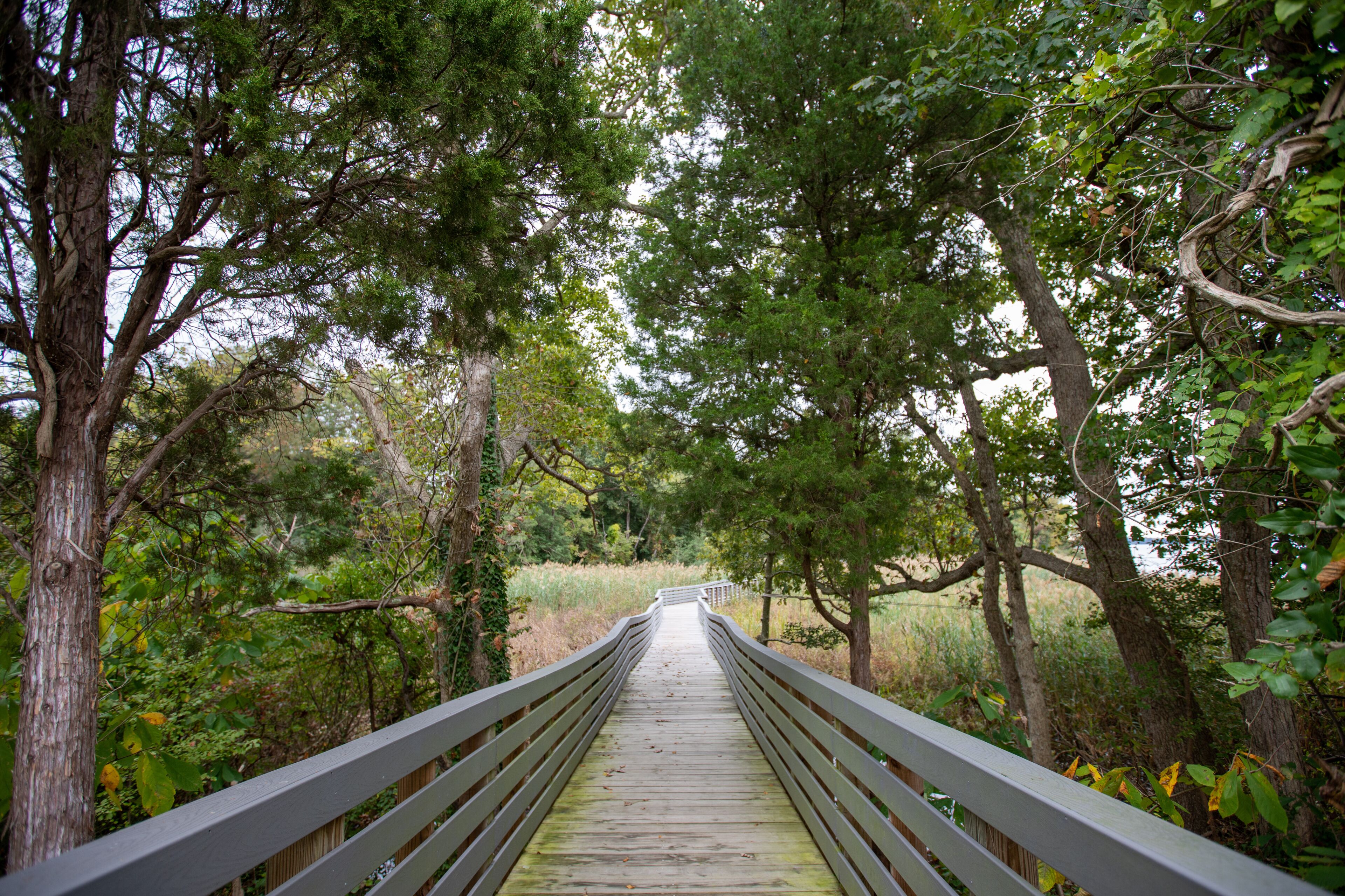 Upper Marlboro