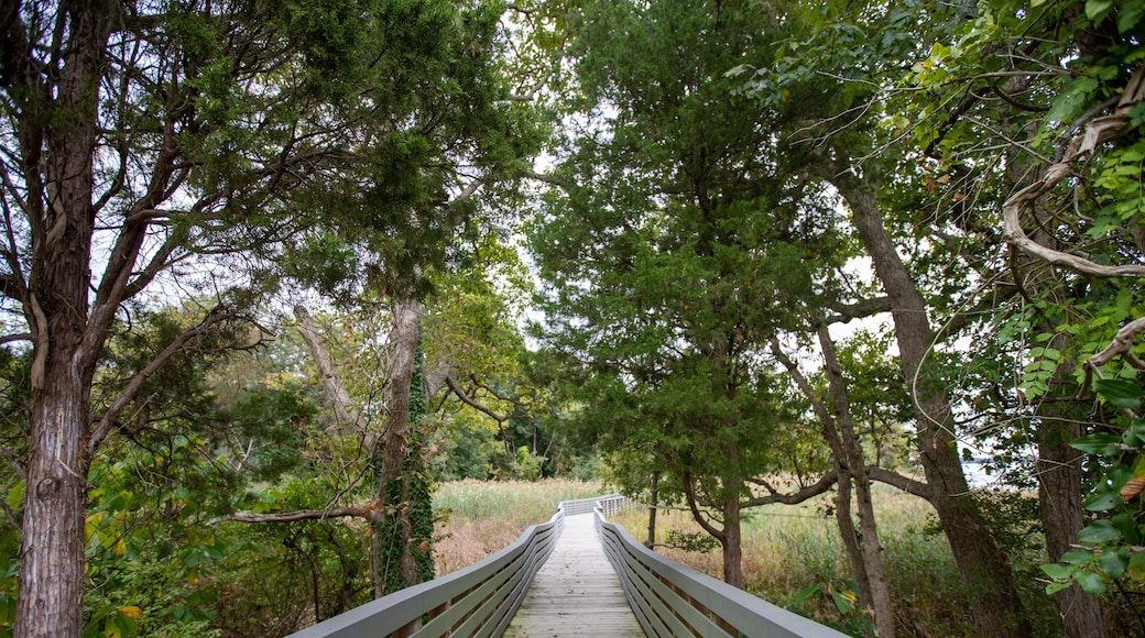Upper Marlboro