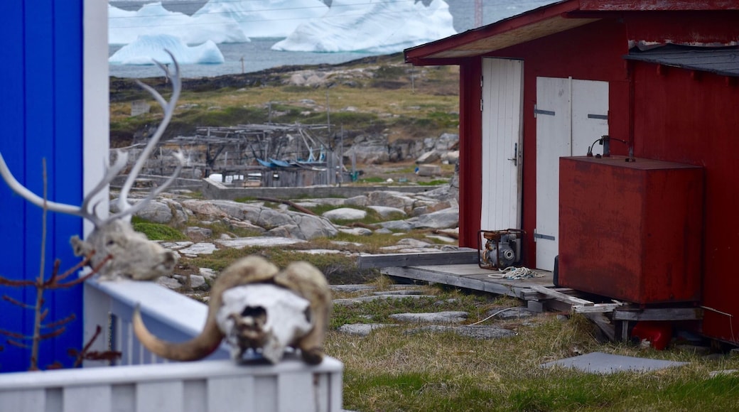 I met a kind lady out gathering wood while wandering around Qeqertarsuaq in Greenland. She offered to make me a warm drink and told stories of true grit, survival and the beauty of life on the island. It was such a treat to be welcomed into her home. I left humbled once again by the powerful forces of mother nature in all her raw and rugged beauty and feeling lucky we get to experience all it she to offer.
#LifeAtExpedia #LikeALocal