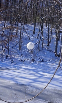 #snow