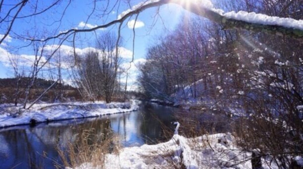 You can easily drive right by the Blackstone river state park but if you find it definitely check it out. #snow