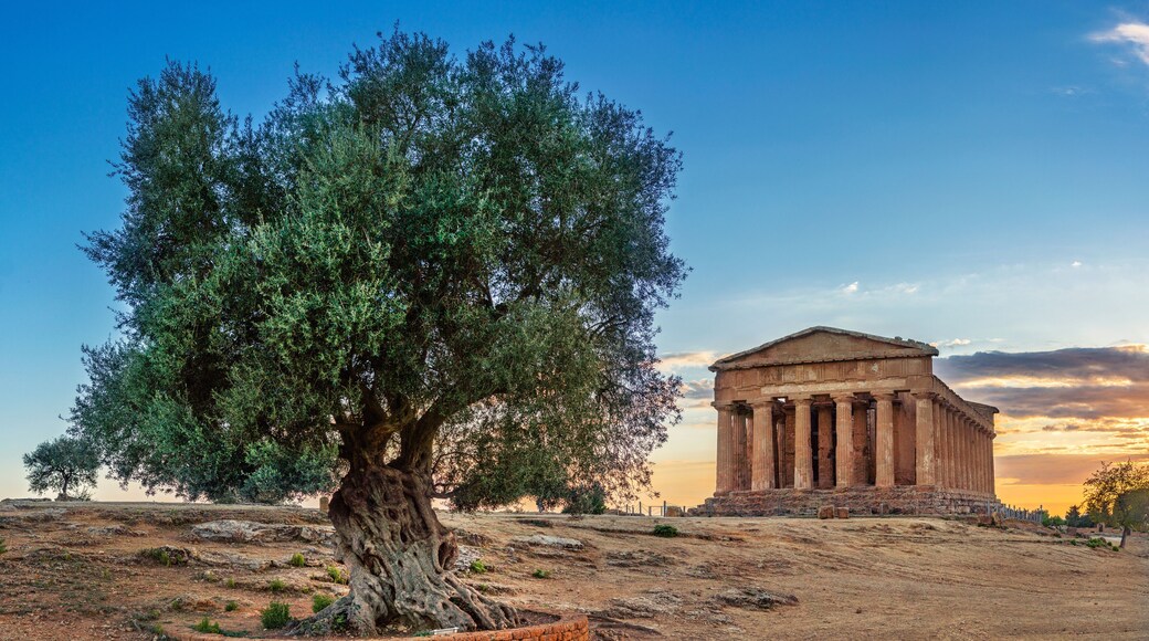Agrigento - valle dei templi - Sicily - Italy