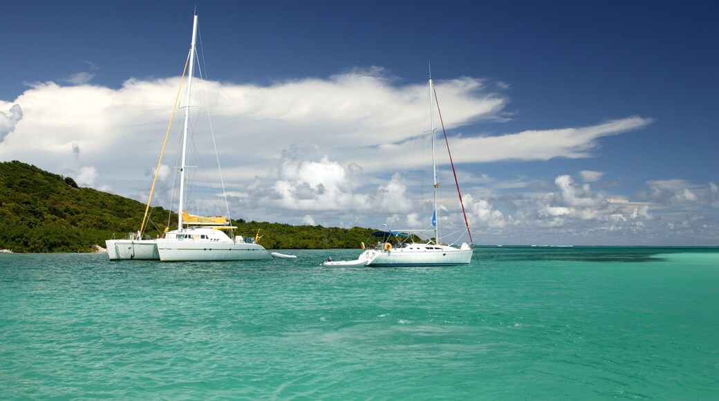 San Vicente y las Granadinas ofreciendo vistas de una costa y embarcaciones
