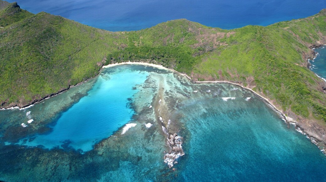 San Vicente y las Granadinas ofreciendo imágenes de una isla