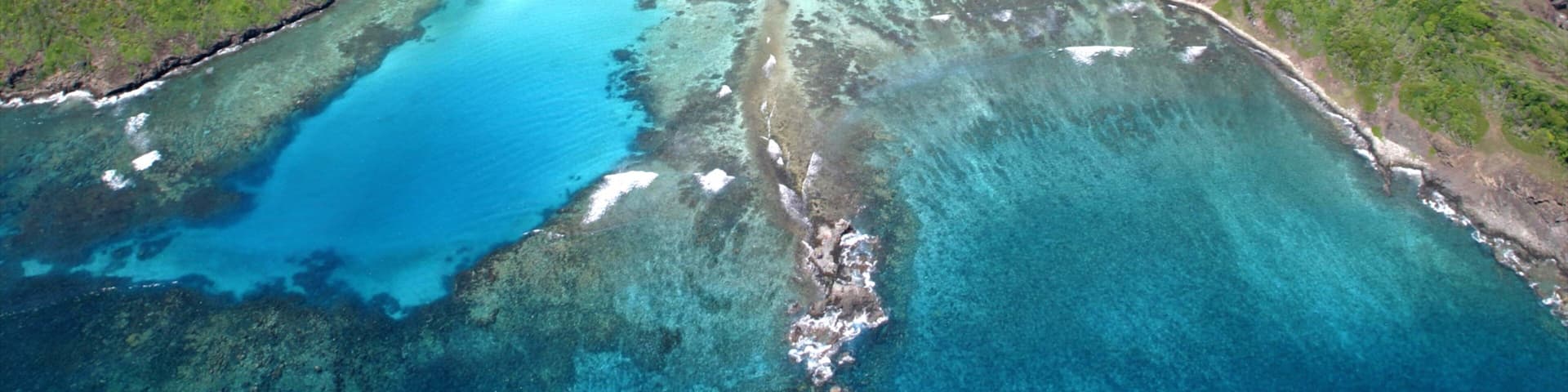 St. Vincent and the Grenadines