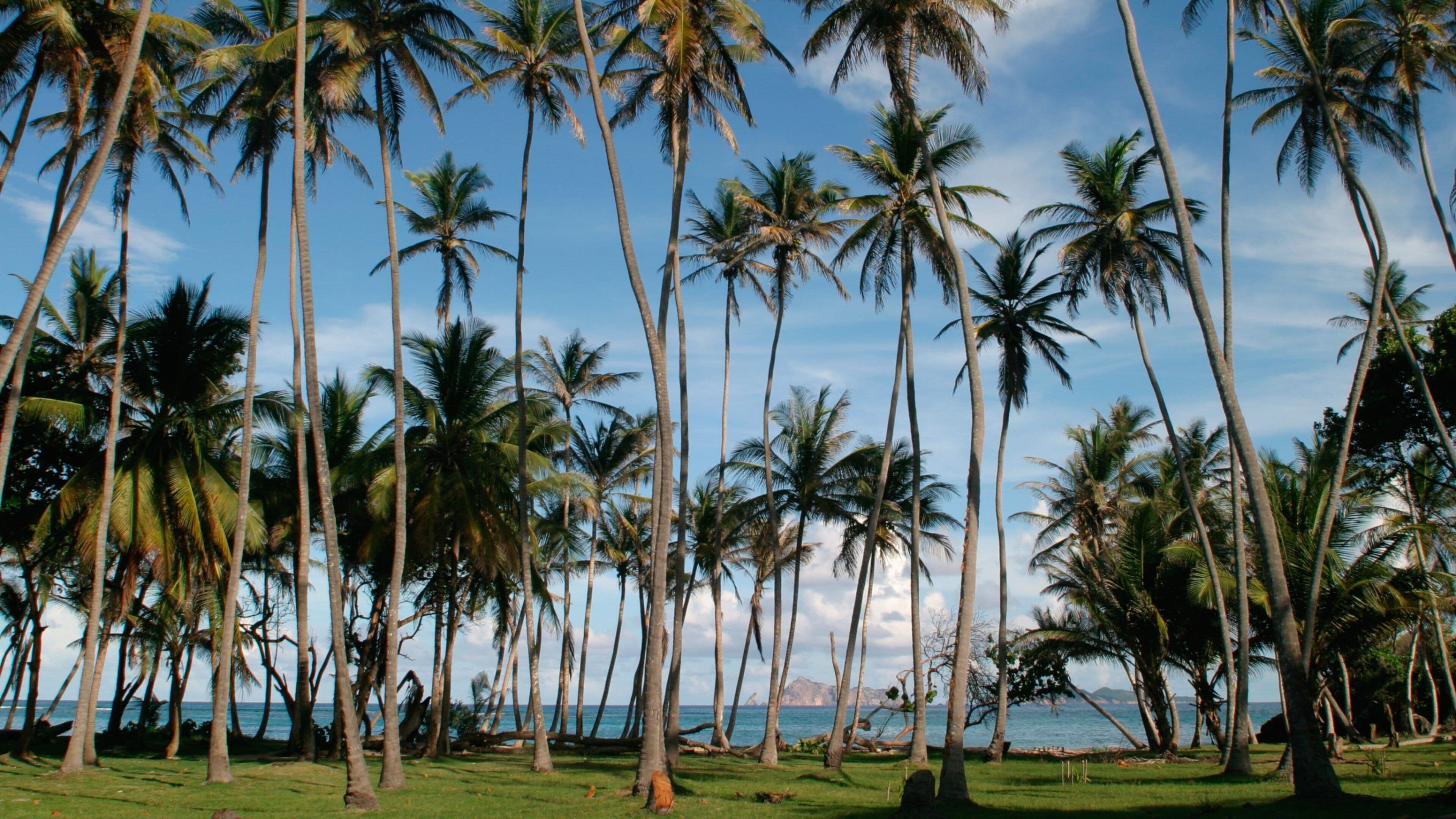 St. Vincent and the Grenadines