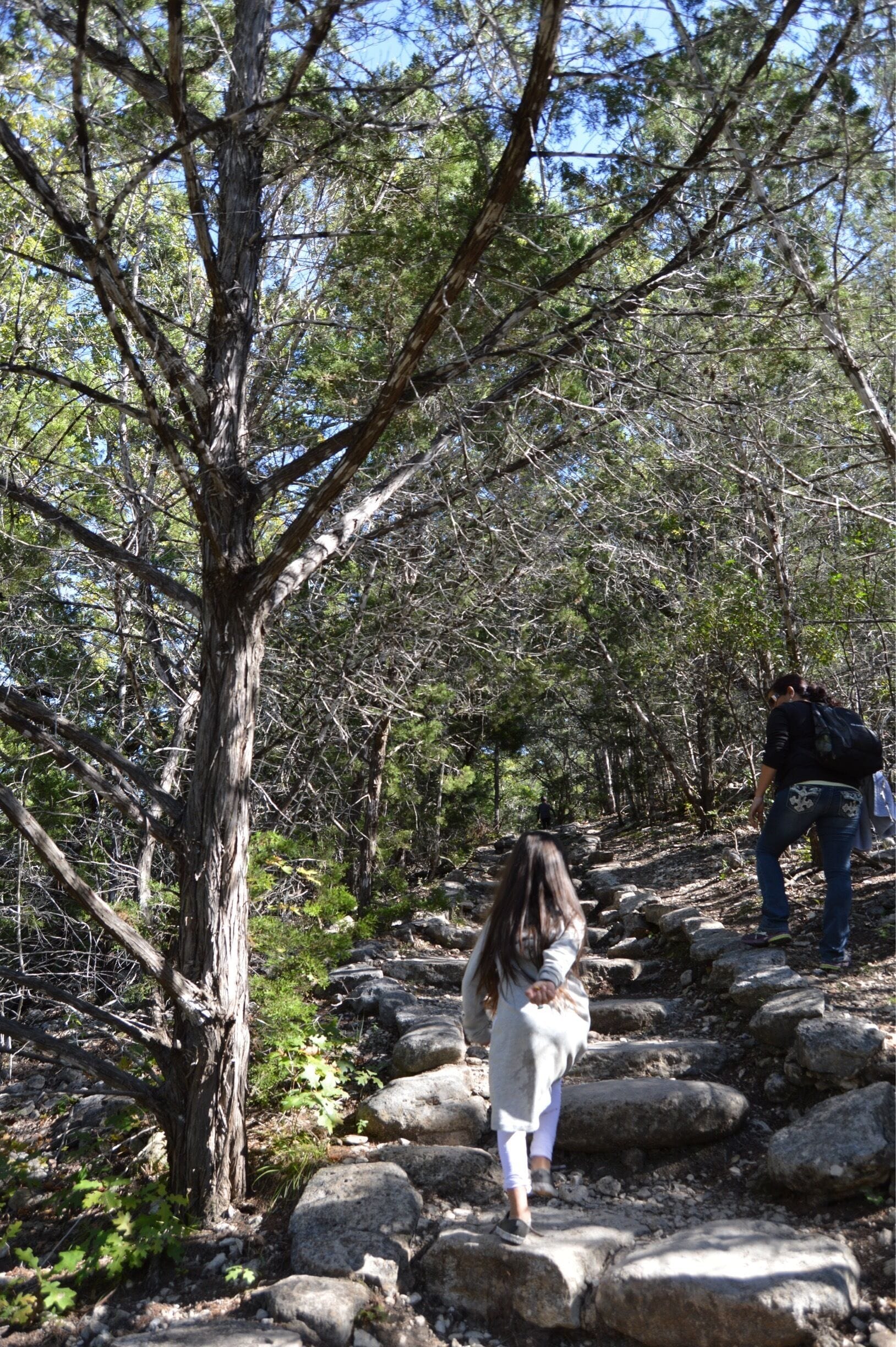 The journey up to the top of Lost Maples! 