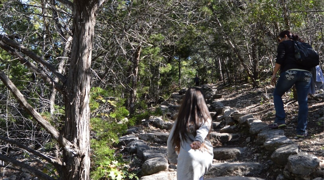 The journey up to the top of Lost Maples!