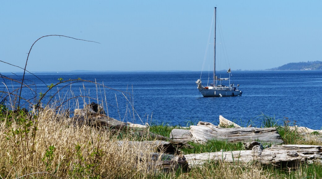 Vashon