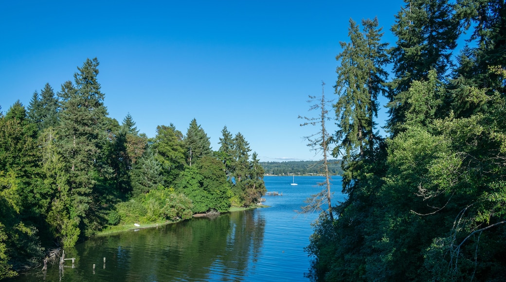 Lush creek on Vashon Island in the Puget Sound in the Pacific Northwest, Shutterstock ID 682328161, purchase_order: SP-1269 HA 2018 Batch 1, Order: , client: , other: