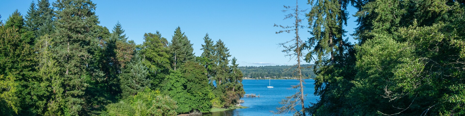 Lush creek on Vashon Island in the Puget Sound in the Pacific Northwest, Shutterstock ID 682328161, purchase_order: SP-1269 HA 2018 Batch 1, Order: , client: , other: