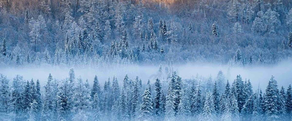 Winter Village II Kalas 喀纳斯
有地皆美景,無處不風光