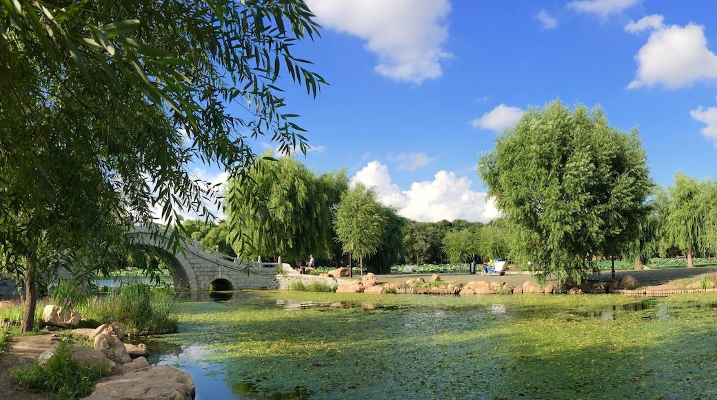 South Lake Park Changchun, Jilin China